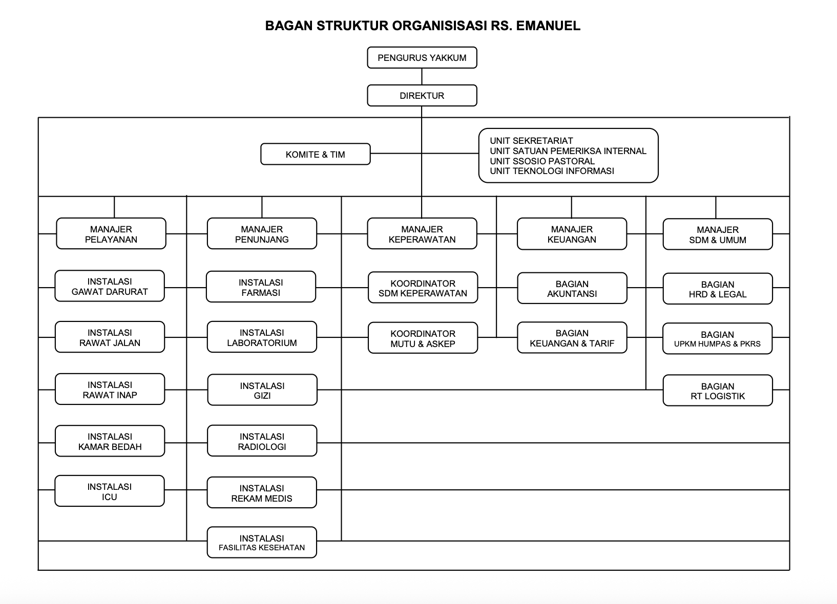 struktur organisasi rs emanuel